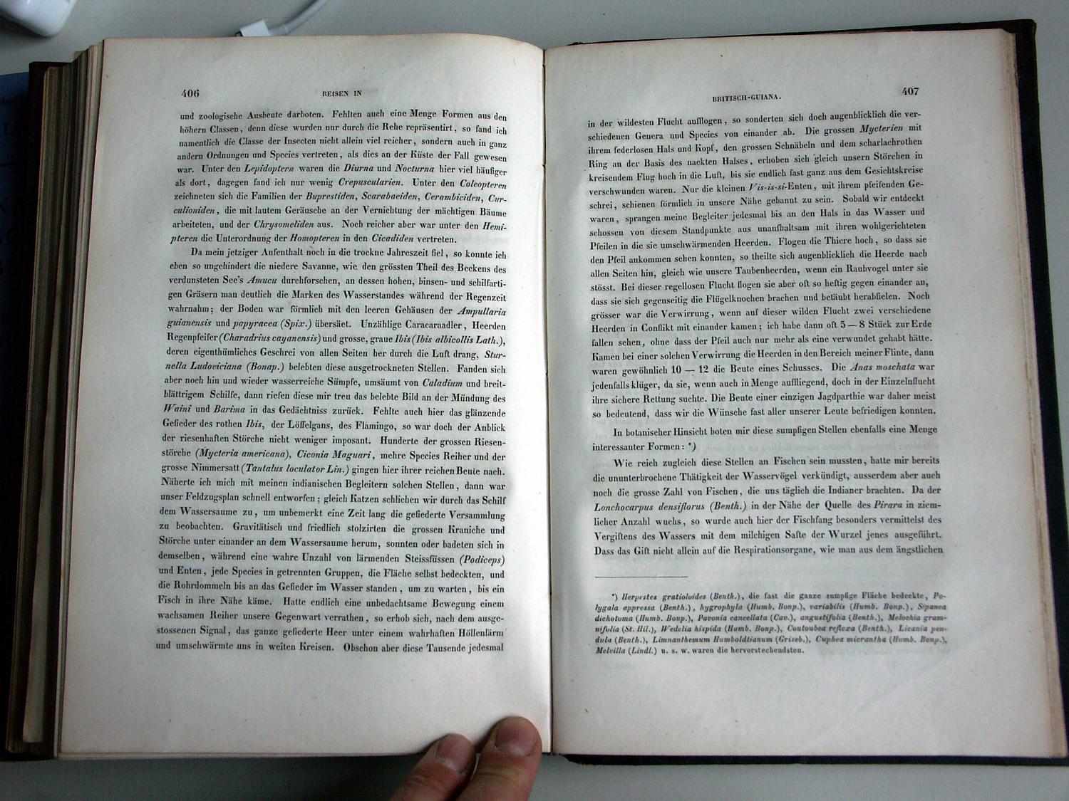 ZZ-RISC47,S.406 Diverse Vögel Umgebung Pirara